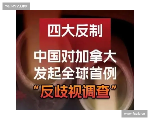 中国为什么要强力反制美国和加拿大的关税措施? 中国为什么要强力反制美国和加拿大的关税措施?