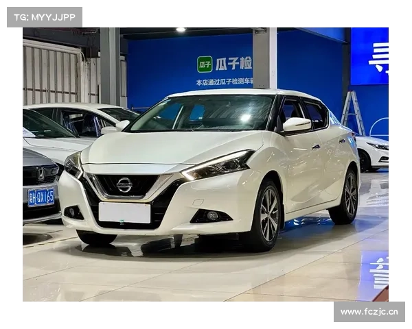 “推特蓝鸟”标识以近3.5万美元的拍卖价成交